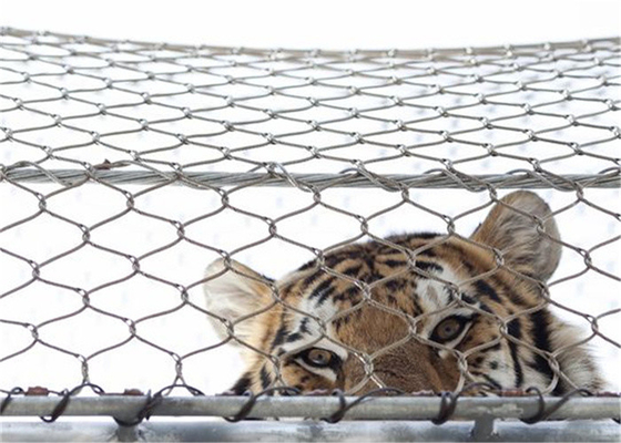 Outdoor SS304 316 Diamond Wire Mesh Panels Webnet Stainless Steel Wire Rope Mesh Fencing